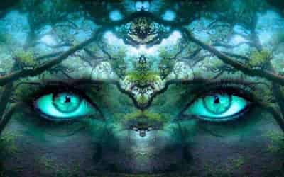 Staring Precognition Test